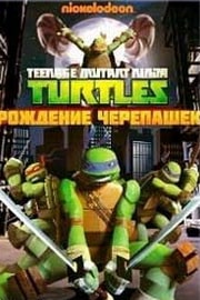 Черипашки ниндзя мультфильм смотреть онлайн